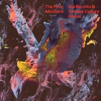 Monolink - The Prey (Gui Boratto & Vintage Culture Remix)