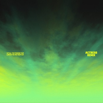 Kelsey Lu, Yves Tumor, Kelly Moran, Moses Boyd - let all the poisons that lurk in the mud seep out (Actress Remix) Kelsey Lu, Yves Tumor, Kelly Moran, Moses Boyd - let all the poisons that lurk in the mud seep out (Actress Remix)