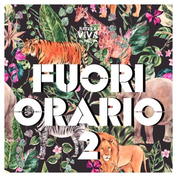 VA - Fuori Orario 2