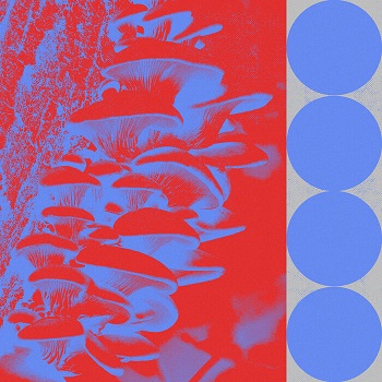Budakid - Ringo Bingo (Remixes) [EXPDIGITAL 217D]