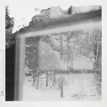 Leaving Laurel - Winter In The Woods