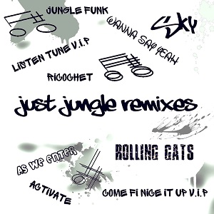 Just Jungle - 90s Just Jungle Bizness Relick (2021) FLAC Just Jungle - 90s Just Jungle Bizness Relick (2021) FLAC