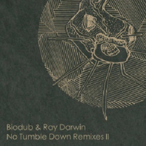 Biodub - No Tumble Down Remixes 2 Biodub - No Tumble Down Remixes 2