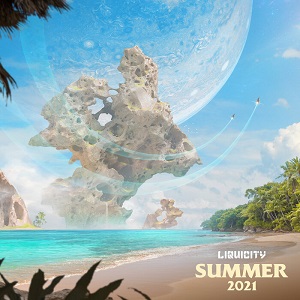 VA - Liquicity Summer 2021