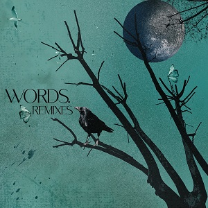 Various Artists - Words - Remixes [Acker Records - ACKERSPECIAL008]