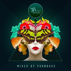 Various Artists - Deep Value, Vol. 2 (Mixed By Pornbugs)