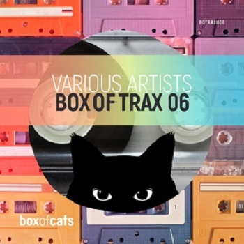 VA - Box of Trax, Vol. 6 [BOTRAX006DJ]