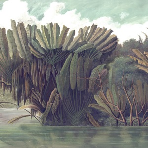 Xique-xique - Na Lagoa