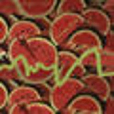 Ozgur Can - Smoothie Ozgur Can - Smoothie