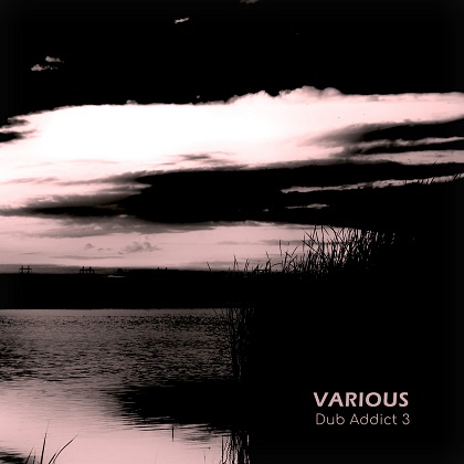 VA – Dub Addict Vol.3 [Space Of Variants] — Dub Techno 2026 (FLAC)