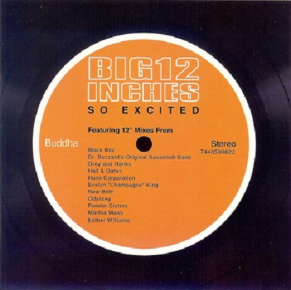 VA – Big 12 Inches (So Excited) [Buddha Records] — Disco / Classic House / Soul 1999 (2026 Reissue)
